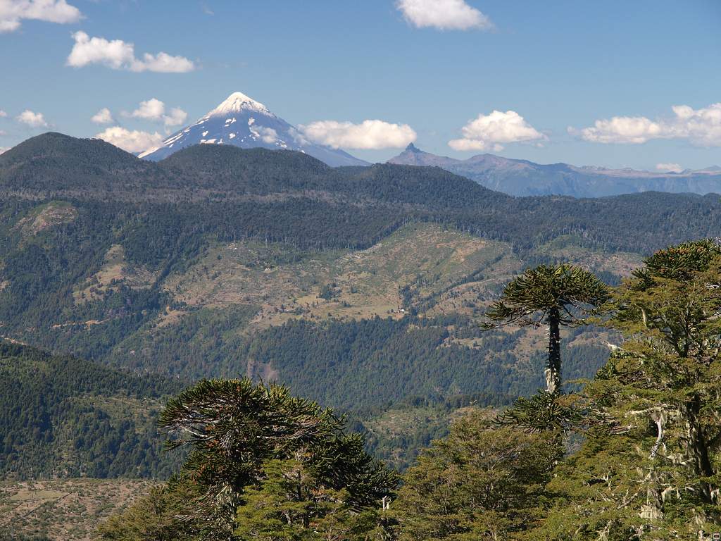 NP Huerquehue - Lanin.jpg